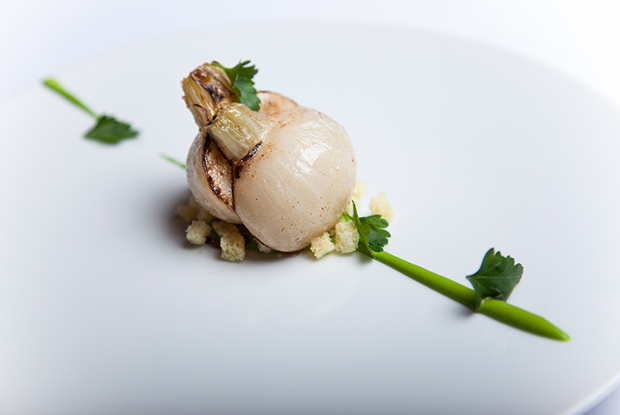 Effervescence-ASIA-2018-DISH1